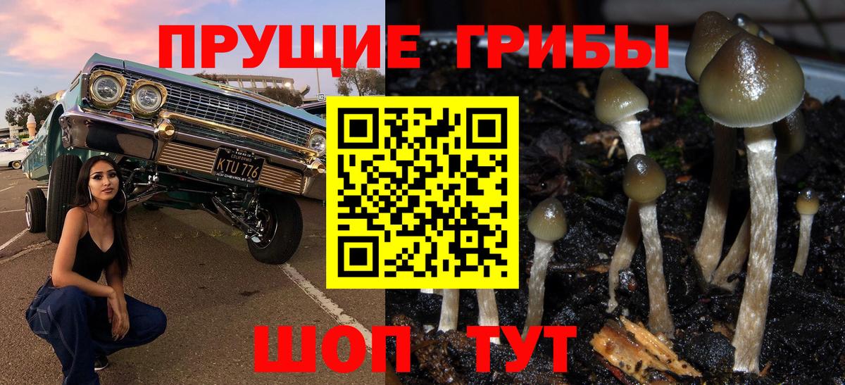 Галлюциногенные грибы мицелий  Вход с VPN  купить  цена  Рославль 